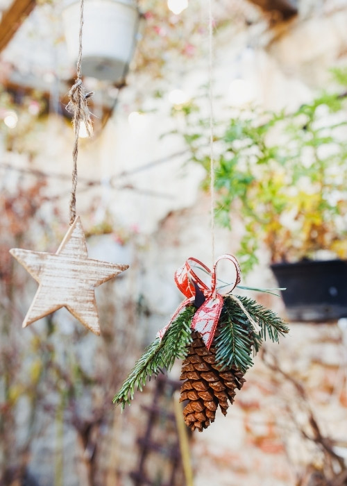 Hanging Long Pine Cones