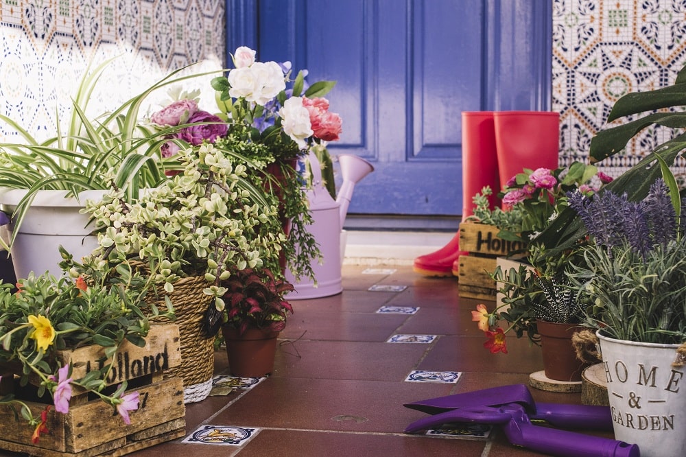Healthy Hacks for Home Garden