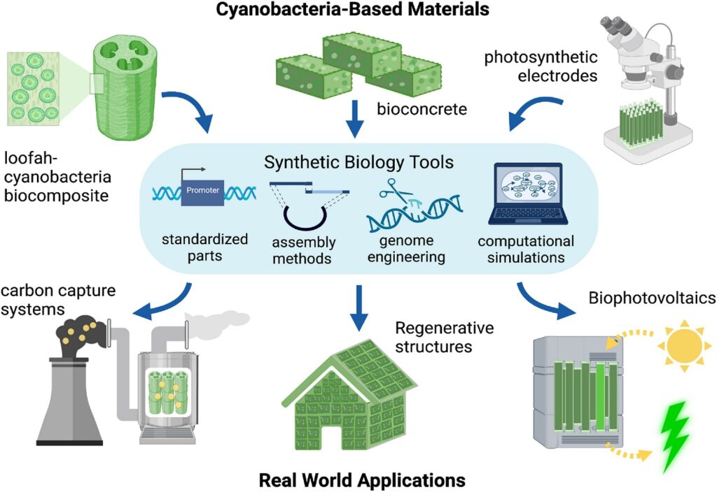 How are Living Building Materials Made? How are Living Building Materials Made?