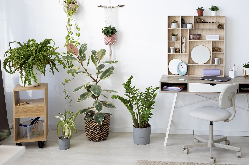 Informal Study Space