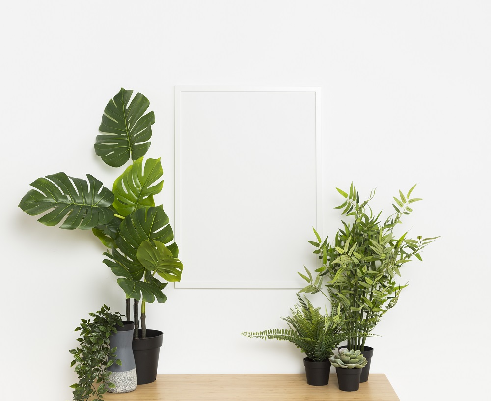 Light-colored Walls to Brighten Shady