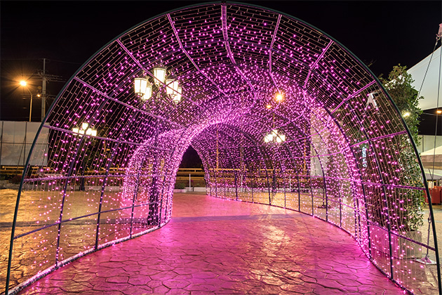 Lighted Entrance Way at Home Outdoor Wedding Venue