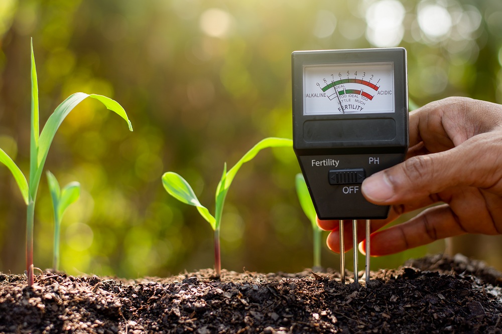 Maintaining pH Levels Maintaining pH Levels