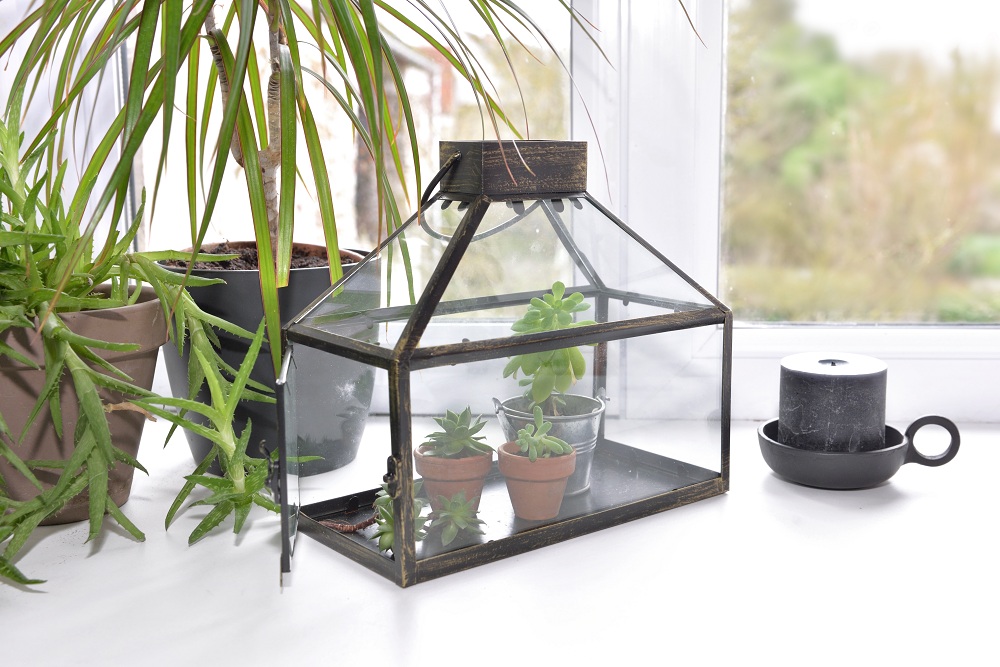 Micro Greenhouse Tip Micro Greenhouse Tip