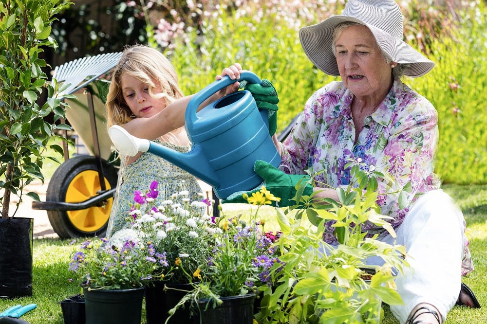 Proper Watering Techniques Proper Watering Techniques