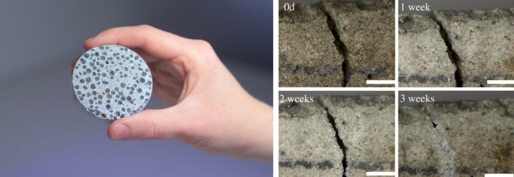 Self-Healing Concrete or Bioconcrete Self-Healing Concrete or Bioconcrete