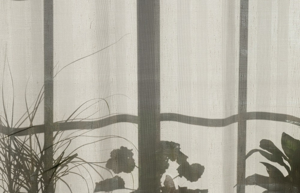 Sheer Curtains for Softening Low-Light