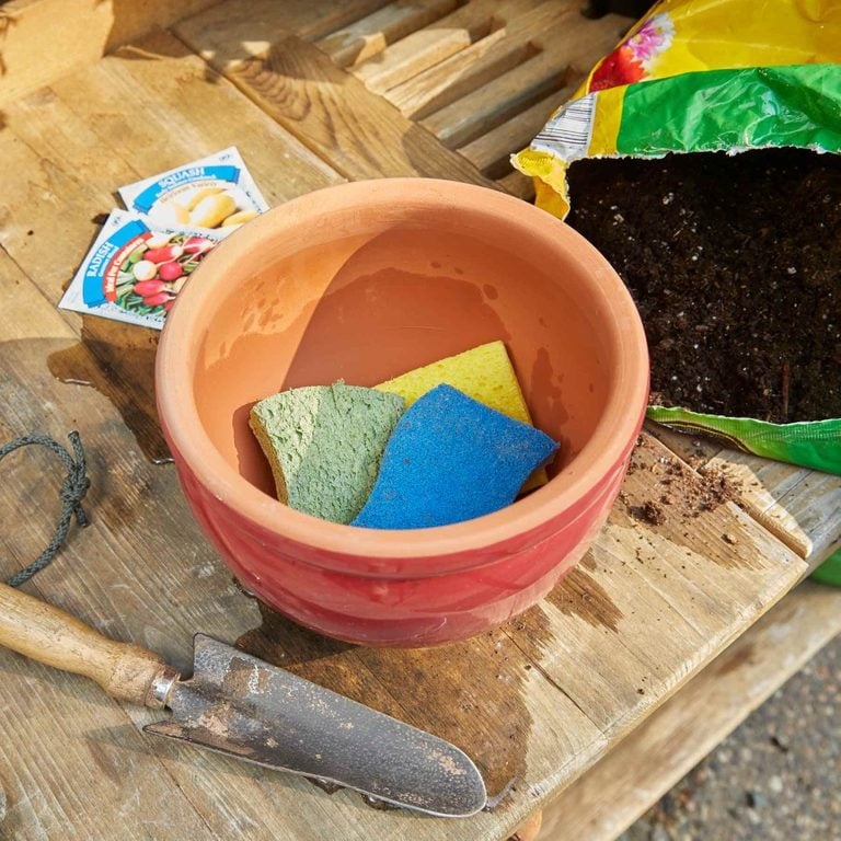 Sponge Usage in Gardening Sponge Usage in Gardening