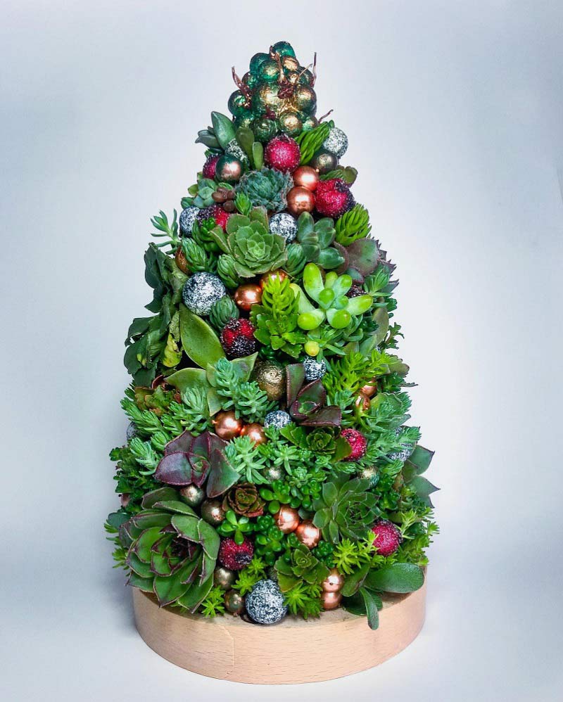 Succulent Christmas Tree