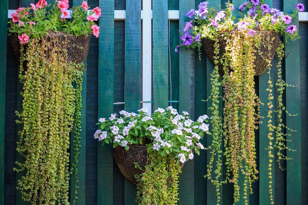 Trellis with Planters