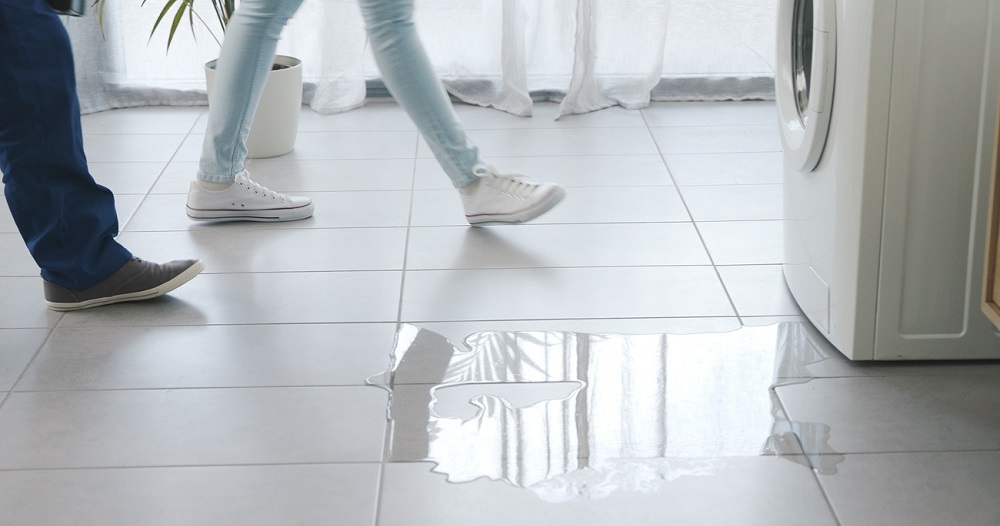Leaking washing machine at home, the woman is showing the appliance to the plumber