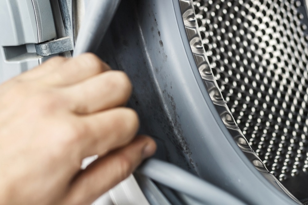 Mold Growth in Front Load Washing Machine