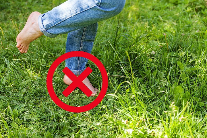 Abstain From Walking on The Grass