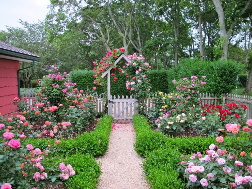 Cottage Style Garden Cottage Style Garden