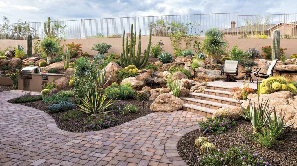 Desert Style Garden Desert Style Garden
