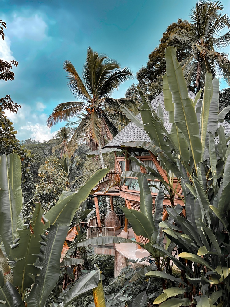 Eco bamboo home in Bali
