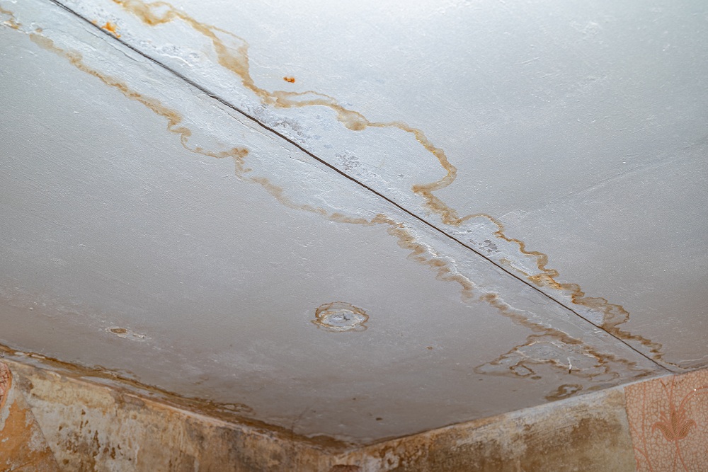 Leaky roof issues in resale homes Leaky roof issues in resale homes