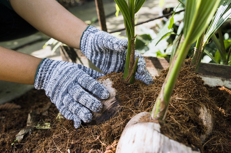 Mulch In Advance