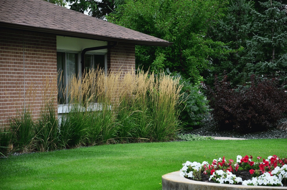 Prairie Style Garden Prairie Style Garden