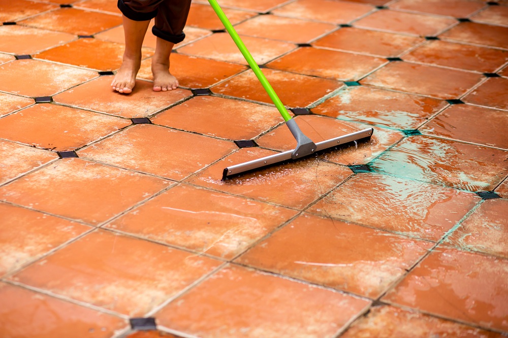 Squeegees Squeegees