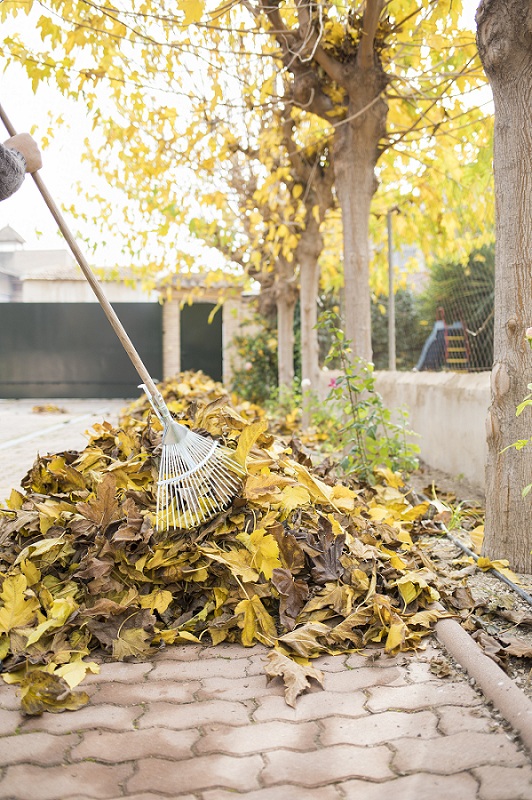 Tidy Up Your Garden