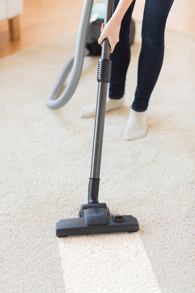 Top 5 Vacuum Cleaners To Choose From