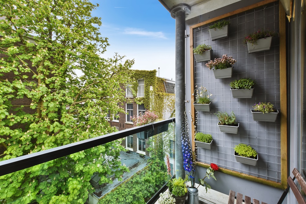 Balcony Décor with Wall Plants