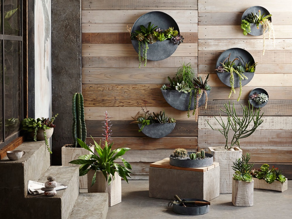 Balcony Décor with Wall Plants
