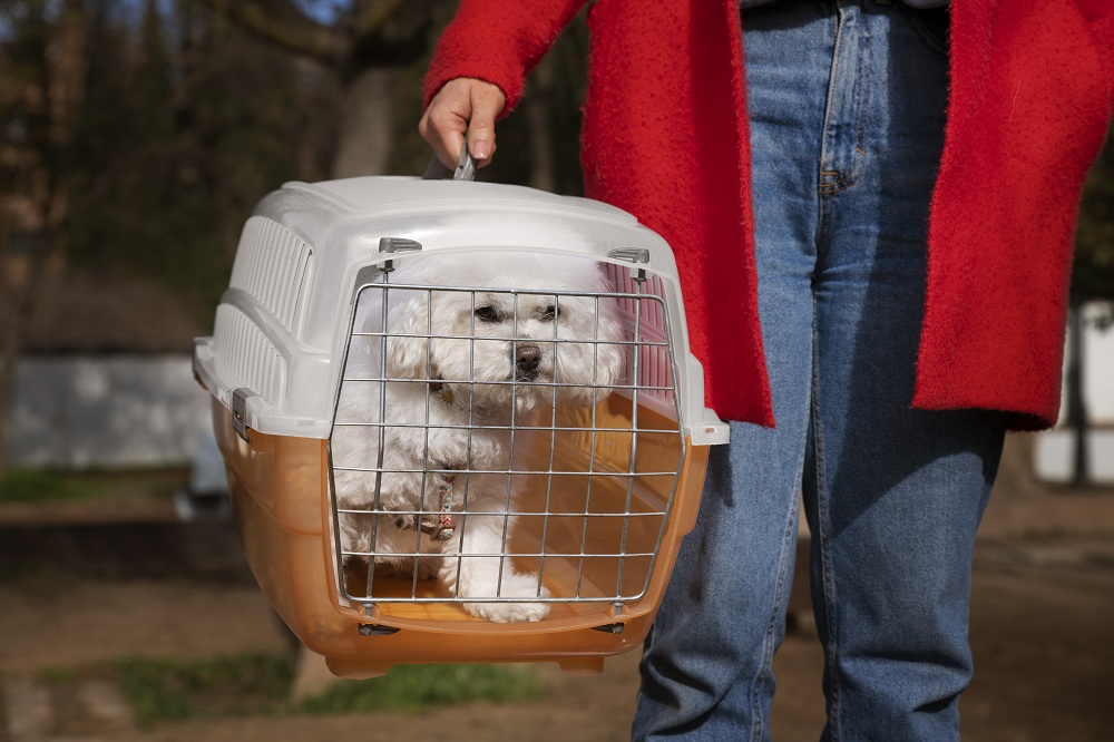 Pet Relocation Service