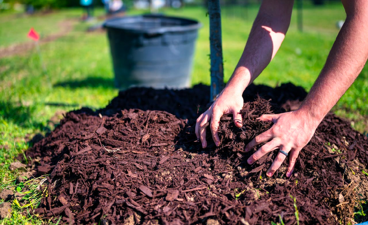 Mulching