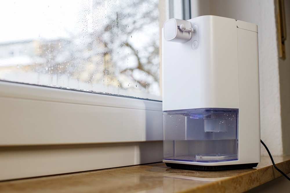 Use Dehumidifier