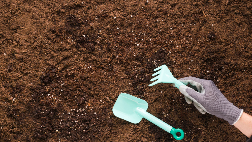 Aerate your Soil