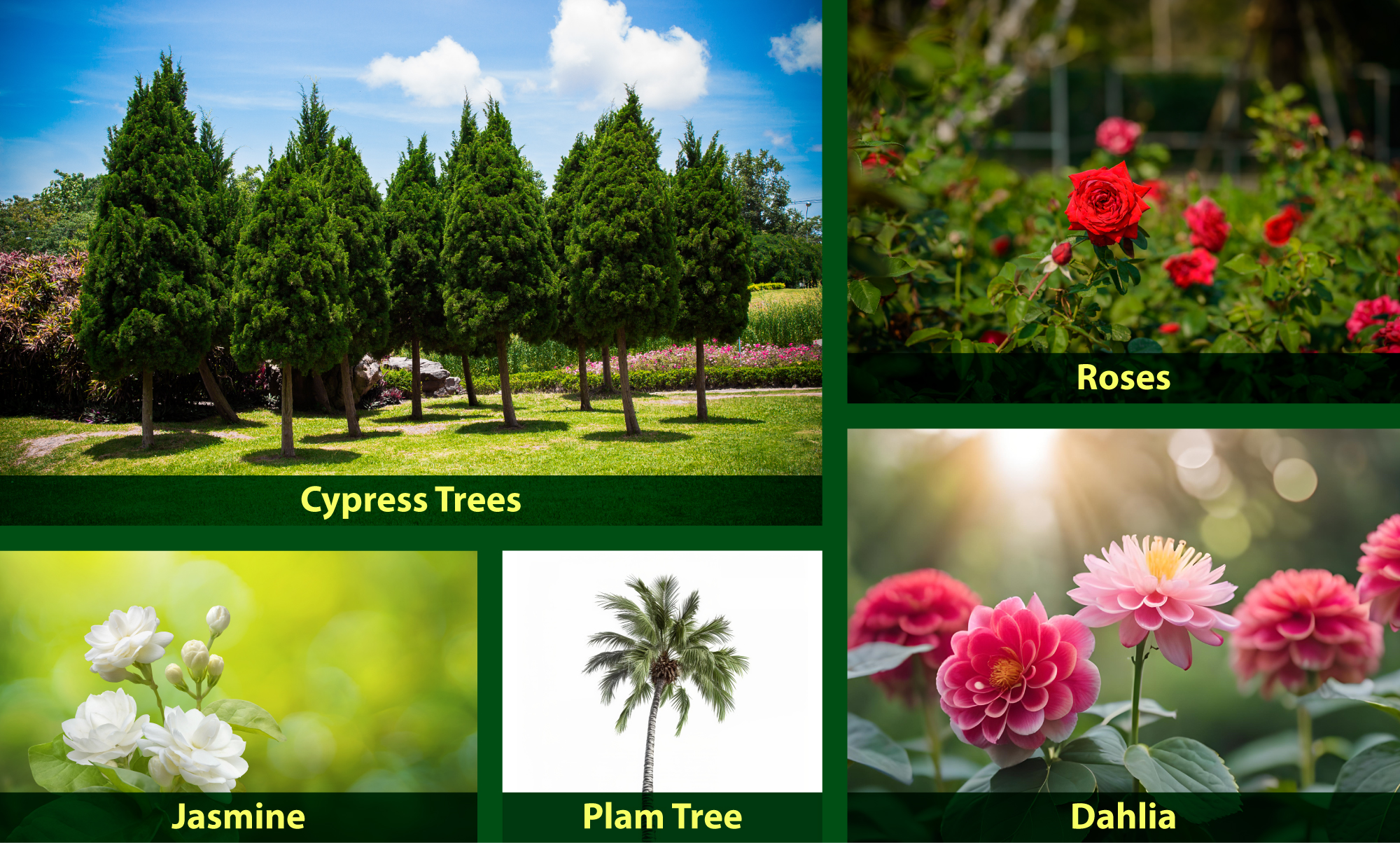 Paradise Garden Plants