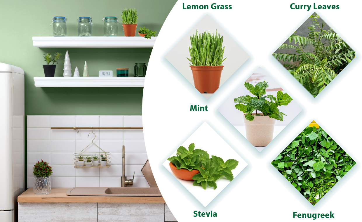 Essential Herbs for Your Kitchen Garden: A Comprehensive Guide