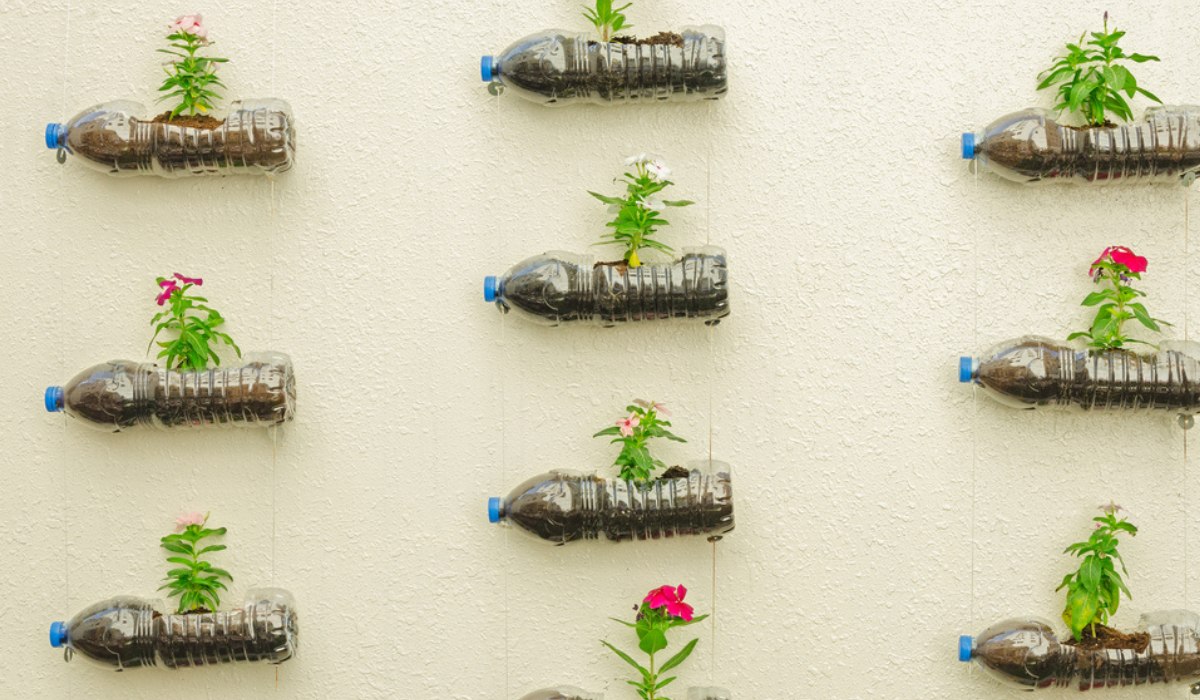 Hanging Bottle Garden