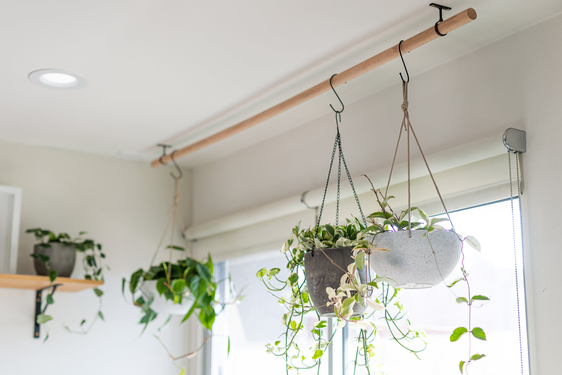 Planters Hung on Rods