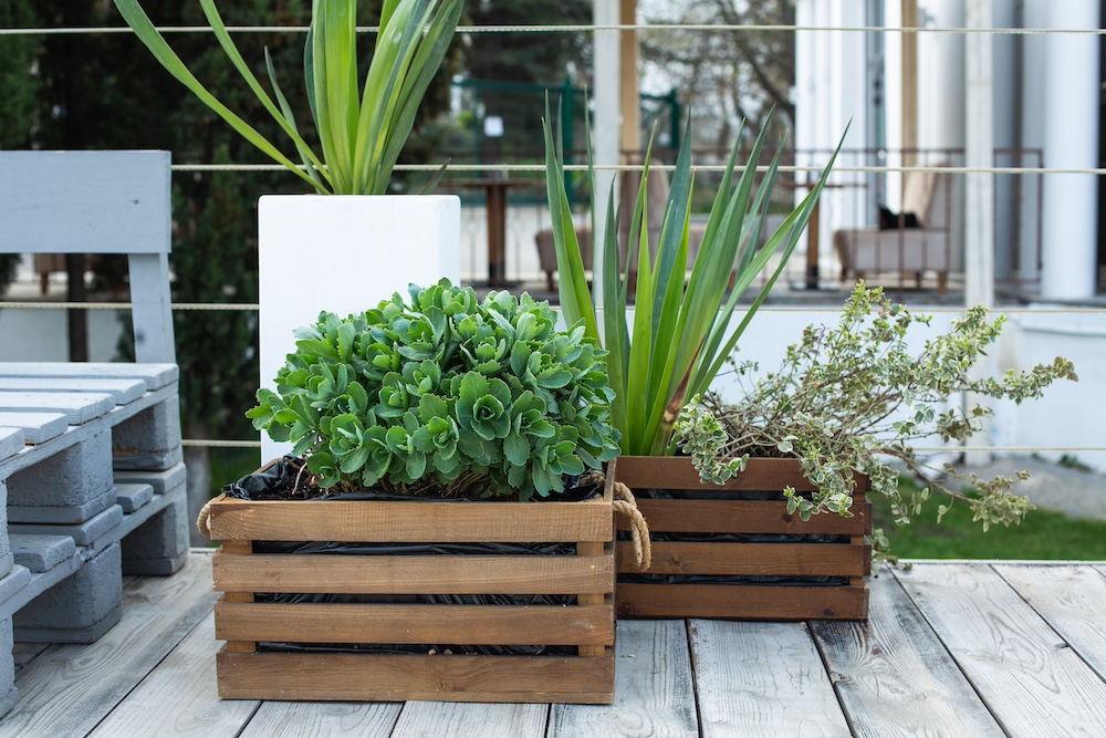 Poly Planters