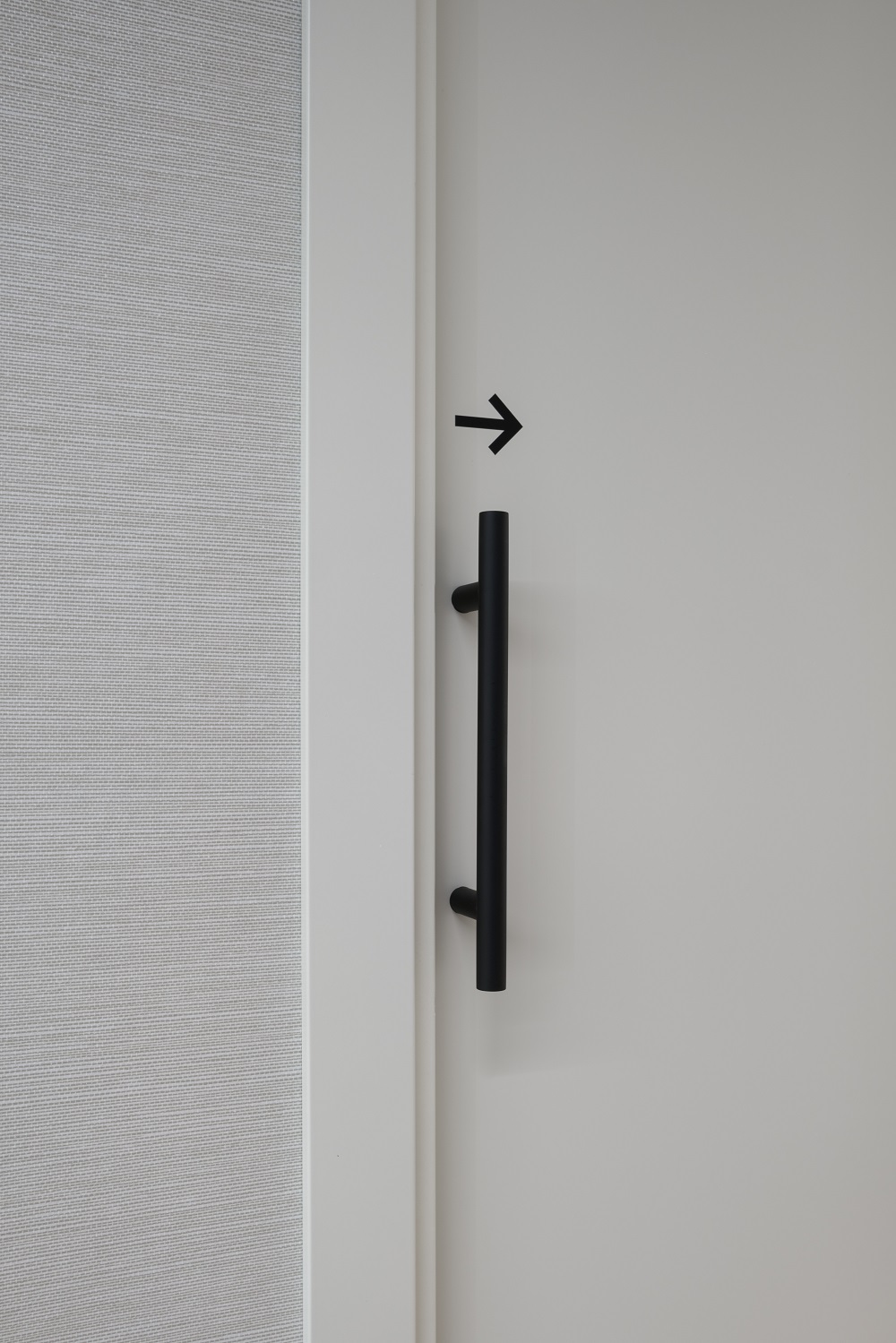 Pull Handles on the Backplate and Rose