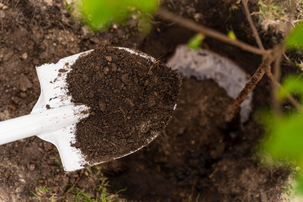 Types of Soil in Garden