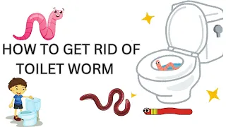 Unwanted Guests in Your Toilet Get Rid of Worms FAST