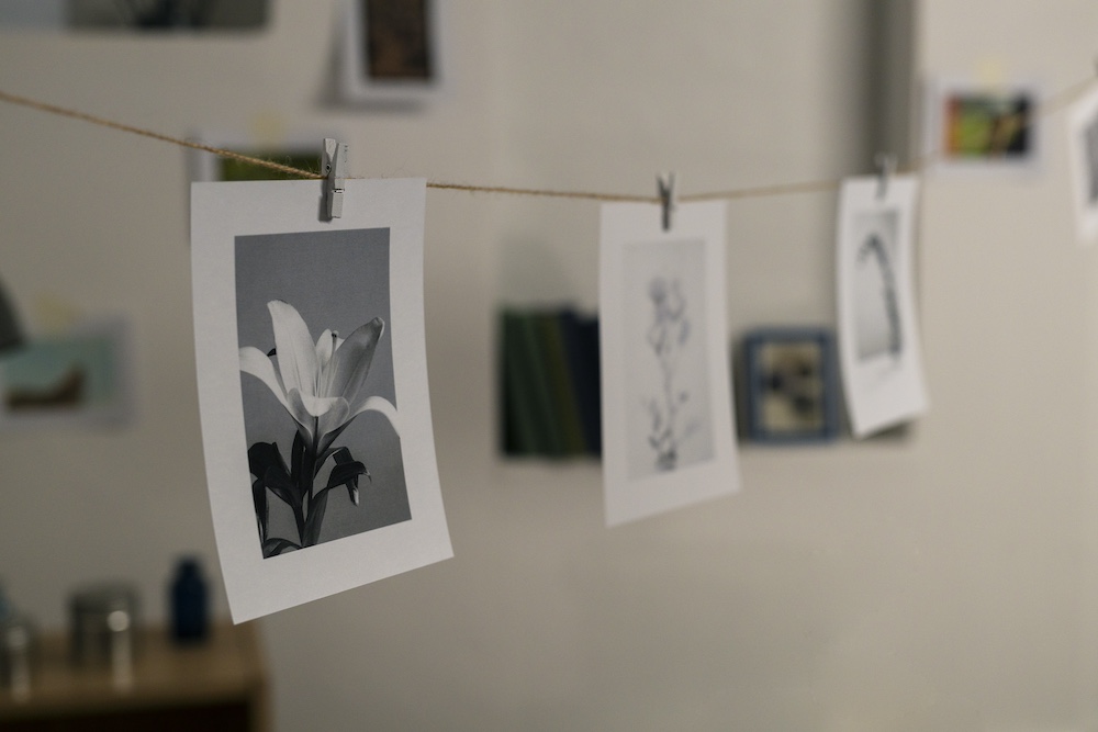 Using Clips to Hang Pictures