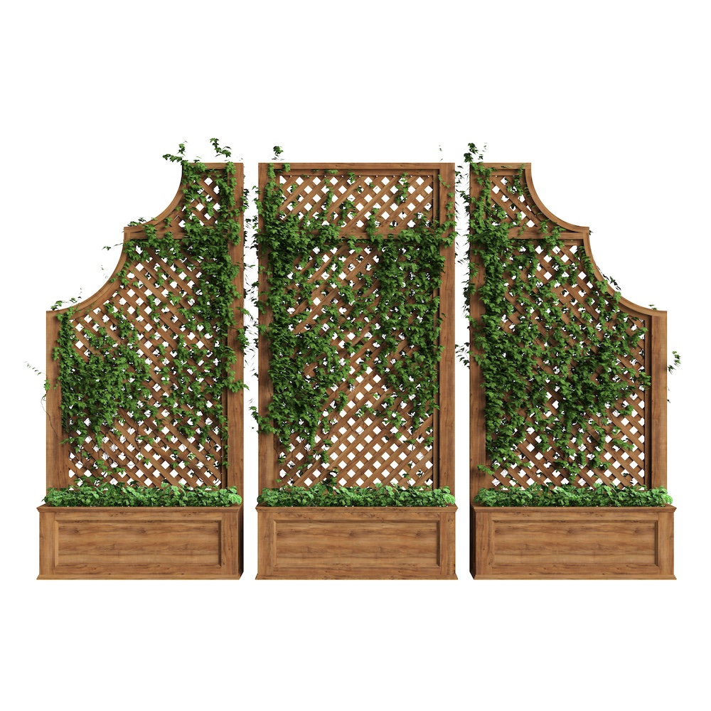 Vined up Trellis
