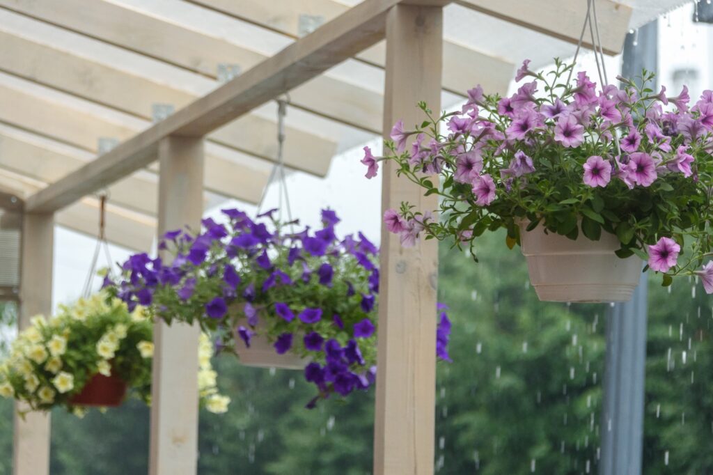 Best Monsoon Home Decoration Ideas With Seasonal Plants