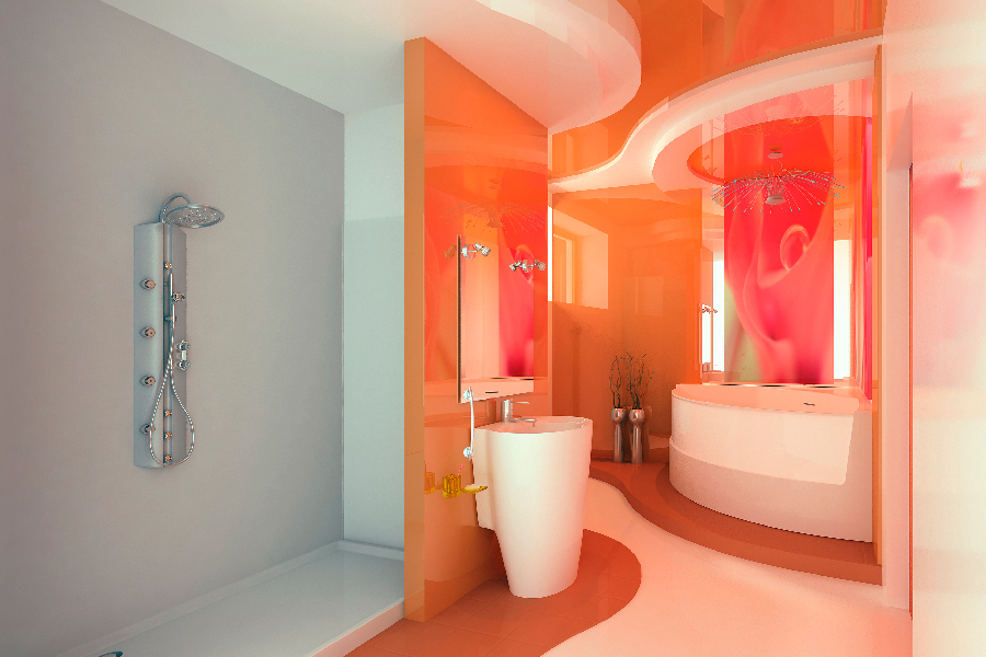 Fancy Shower Room Design