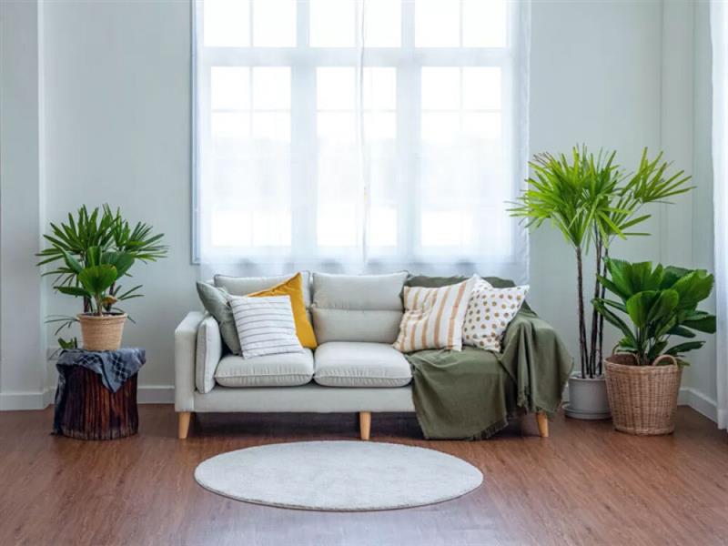 Monsoon Home Design Ideas