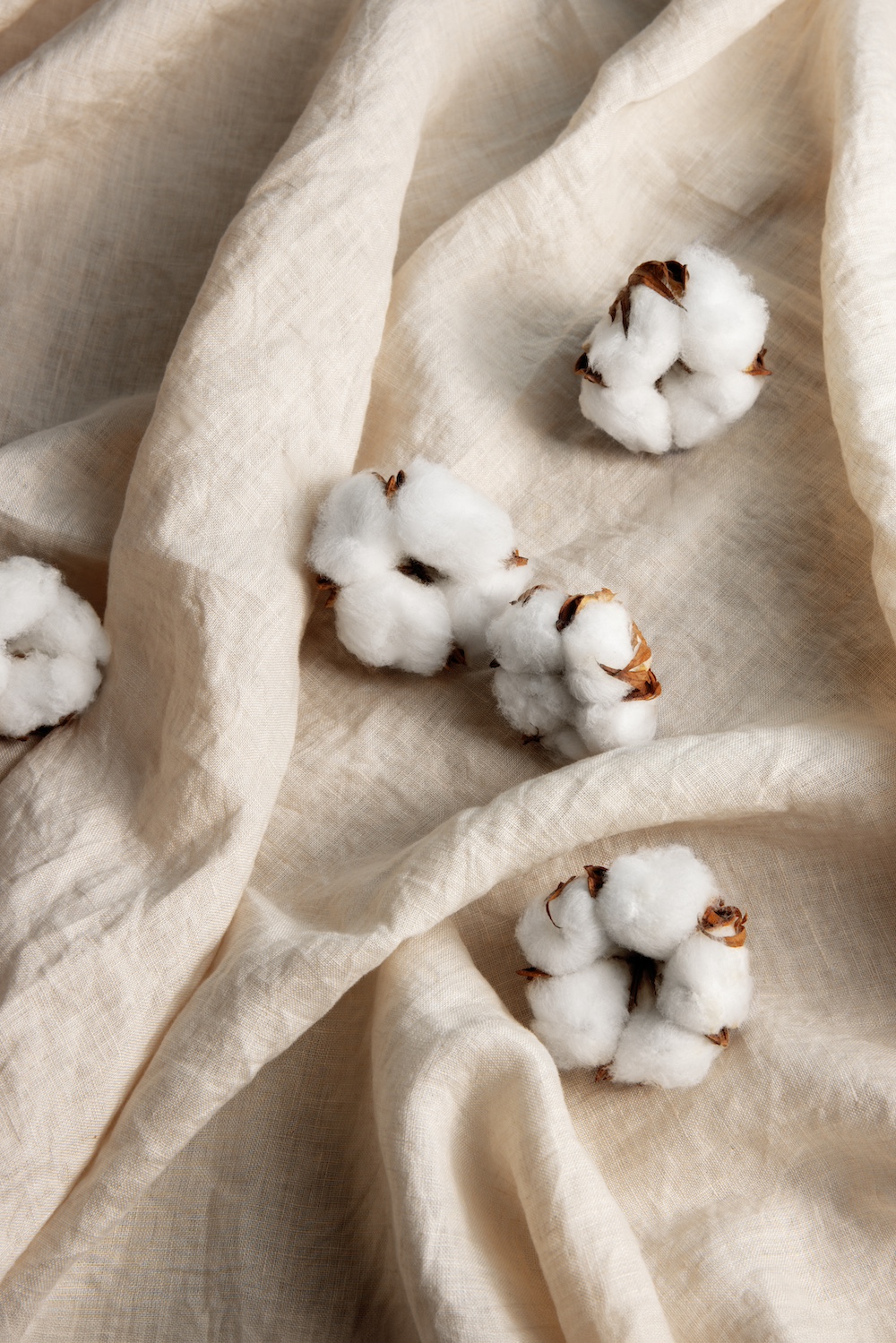 Organic Cotton Fabric