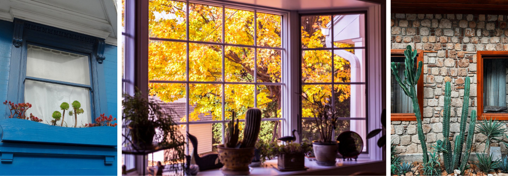 Bay Window Garden with Succulent Plants