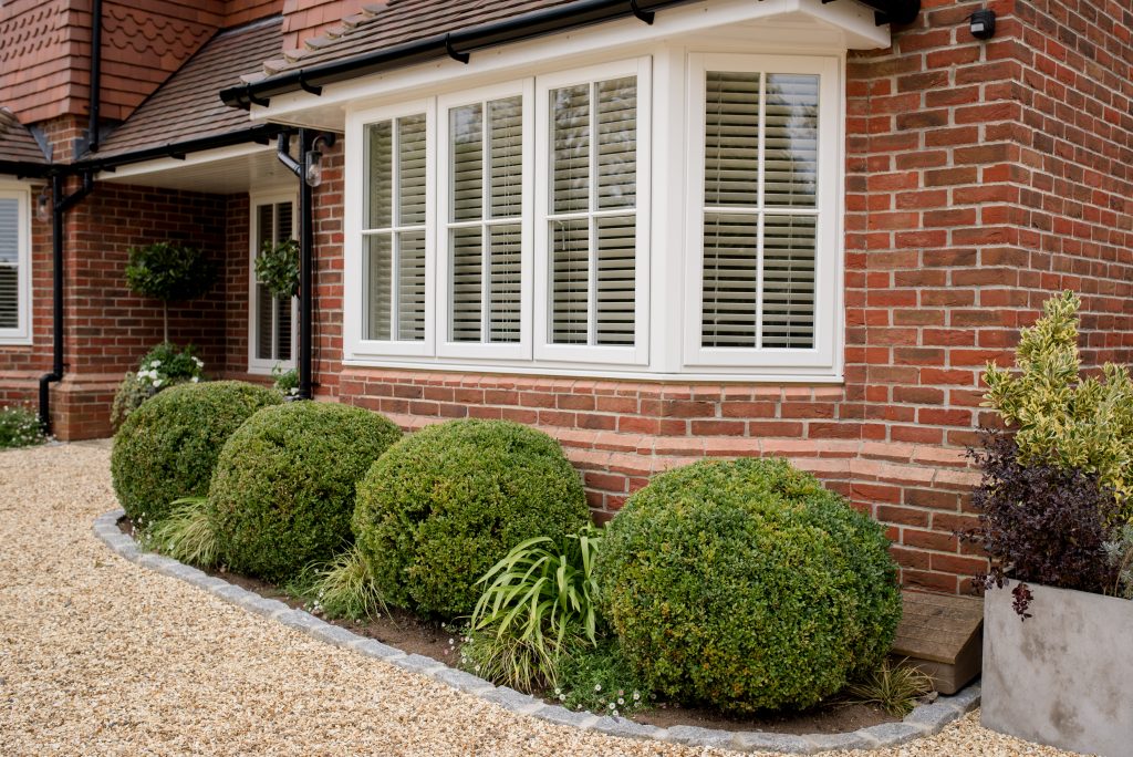 Boxwood Shrubs