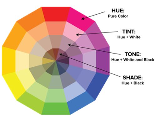 Colour Wheel