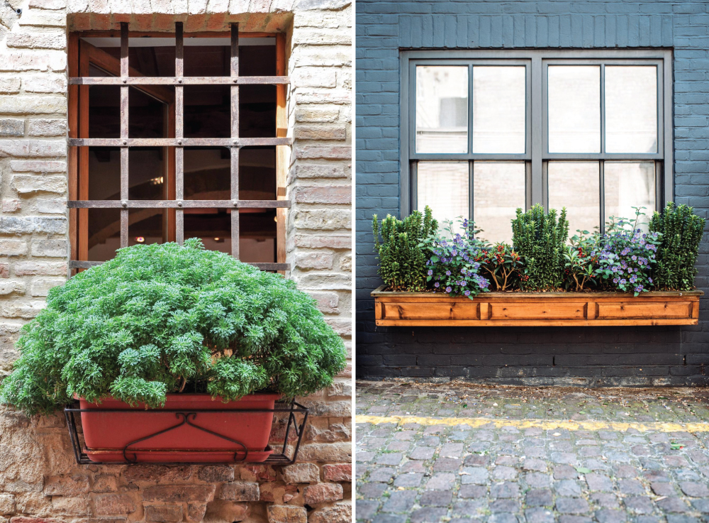 Colourful Window Box Garden with Flowers